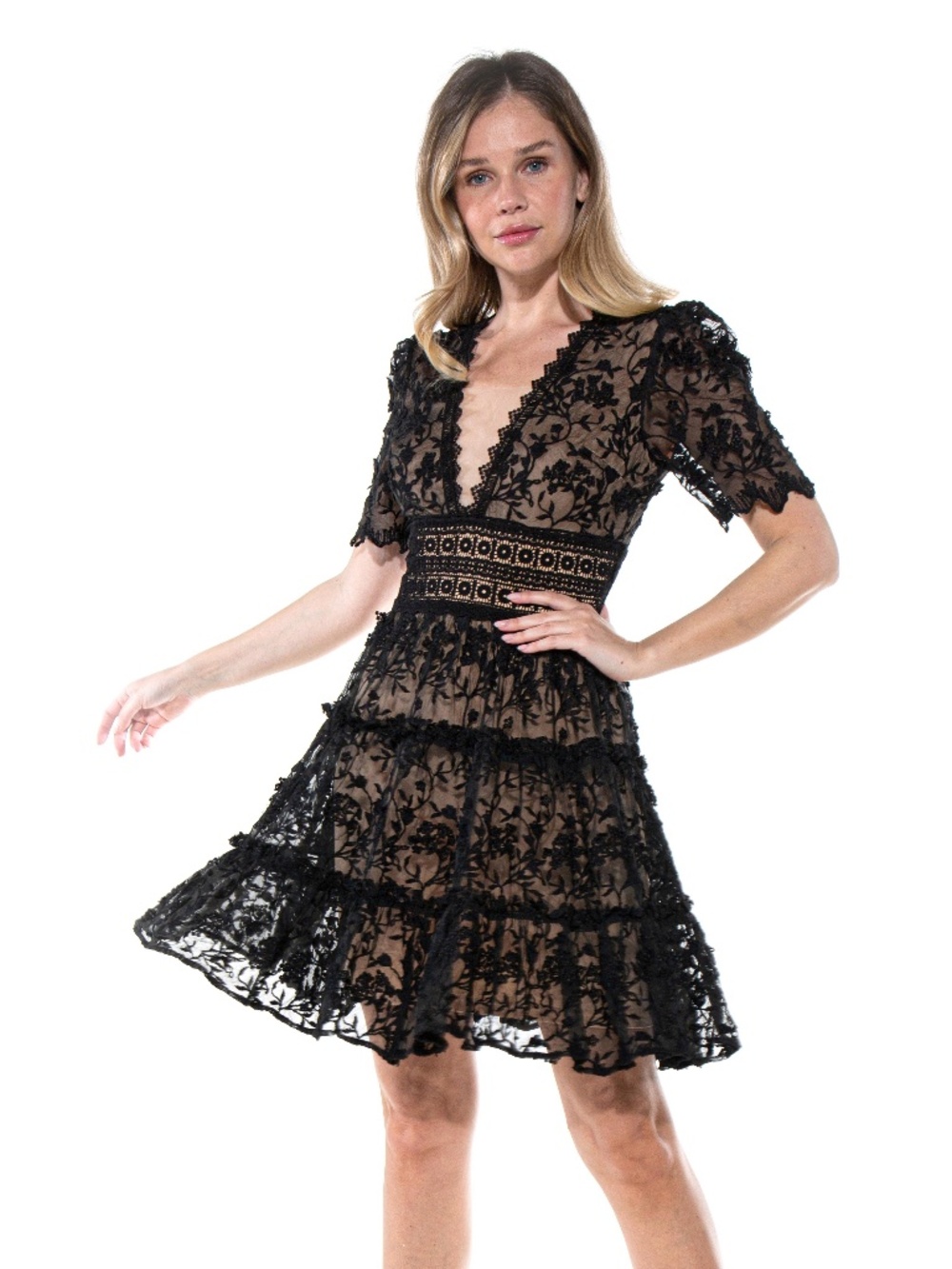 Flora Whisper Embroidered Mesh Mini Dress